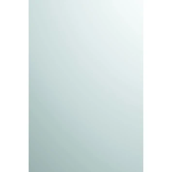 Plieger Spiegel Rechthoek 60x40 Cm