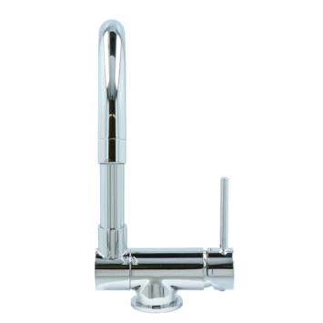 Atlantic Keukenkraan Carson Inklapbaar Met Hendel Chroom - Afbeelding 8