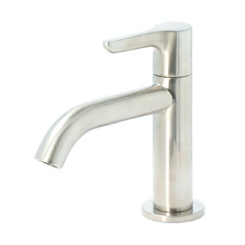 Atlantic Fonteinkraan Riley Met Hendel RVS