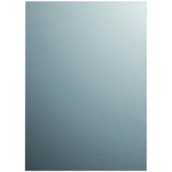 Plieger Basic Spiegel Zilver 60X45 Cm