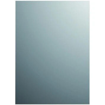 Plieger Spiegel Zilver 120x30 Cm