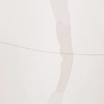 Sealskin Douchegordijn Earth 180x200cm D.roze/wht - Afbeelding 8