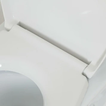 Tiger WC Bril Amadora Wit Kunststof Met Softclose - Afbeelding 3