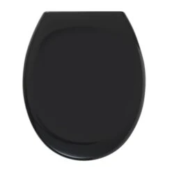 Tiger WC Bril Mason Zwart Kunststof Met Softclose