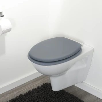 Tiger WC Bril Reno Grijs - Afbeelding 4